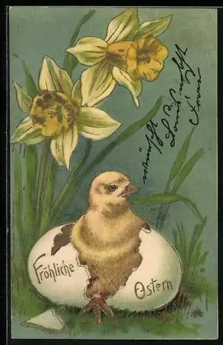 AK Osterküken schlüpft aus Eierschale, Osterglocken