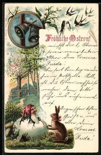 AK Zwerg schlüpft aus einem Ei, Osterhase und Schwalben