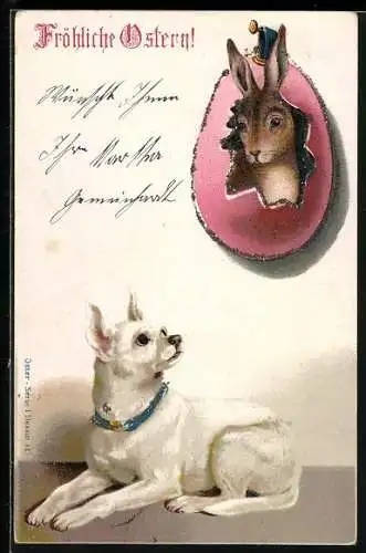 AK Hund blickt auf einen Osterhasen, Fröhliche Ostern
