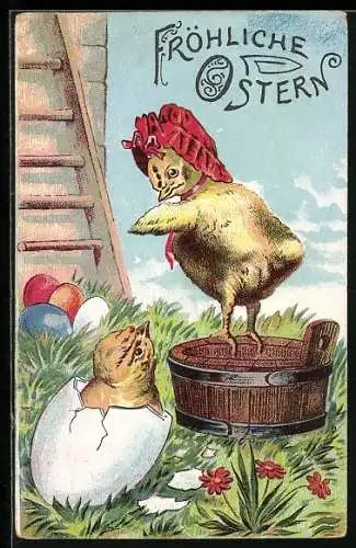 AK Osterküken schlüpft aus dem Ei