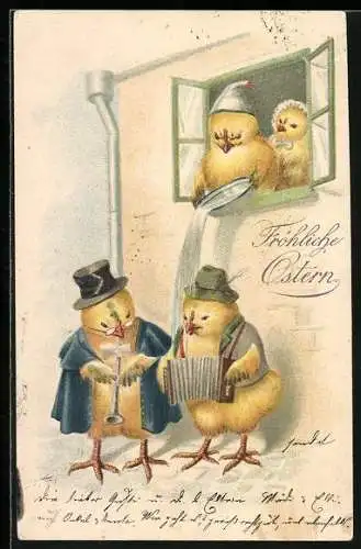 AK Osterküken musizieren vor einem Fenster
