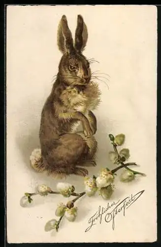 AK Osterhase mit Weidenzweig