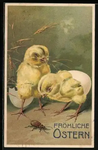 Präge-AK Osterküken betrachten neugierig einen Maikäfer, Fröhliche Ostern