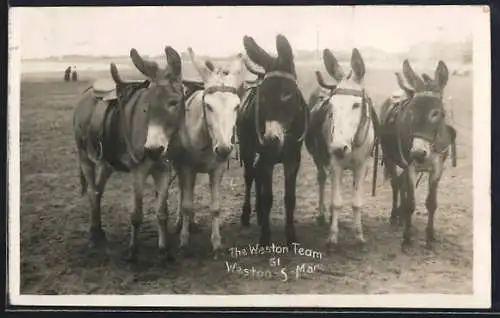 AK Weston-S-Mare, The Weston Team