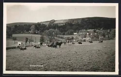 AK Crowcombe, Meadow View with grazing Cattle