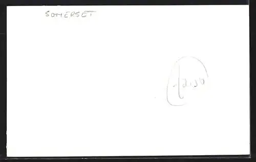 AK Crowcombe, Meadow View with grazing Cattle