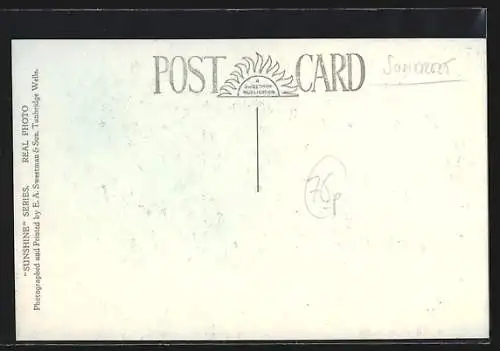 AK Selworthy Green, Old Walnut Tree