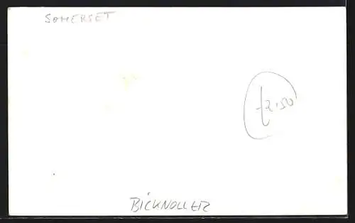 AK Bicknoller, Newton Farm