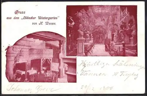 AK Lübeck, Lübecker Wintergarten von K. Wesse