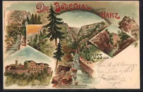 Lithographie Thale, Hotel zur Rosstrappe, Teufelsbrücke, Bodekessel