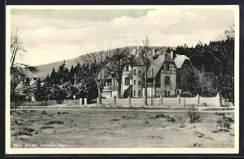 AK Schierke /Harz, Hotel Haus Wedel von der Weide aus