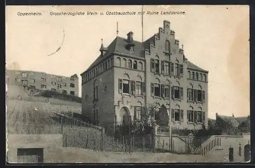 AK Oppenheim, Grossherzogliche Wein- u. Obstbauschule mit Ruine Landskrone