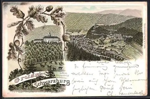 Lithographie Schwarzburg, Schloss, Panorama