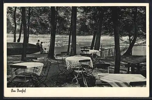 AK Bergzabern, Gasthaus Zum Seehof, Restaurant mit Aussenbereich, Blick auf Freibad