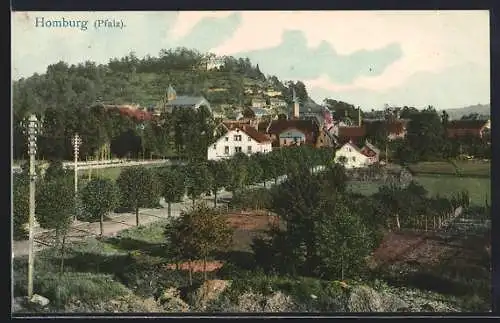 AK Homburg /Pfalz, Ortspartie mit Landstrasse und kleinem Feld