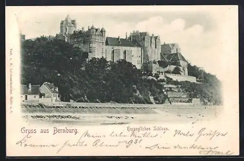 AK Bernburg, Herzogliches Schloss