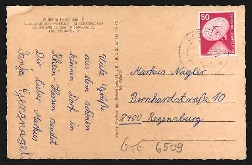 AK Bermersheim /Rheinh., Ortsansicht mit Weinreben
