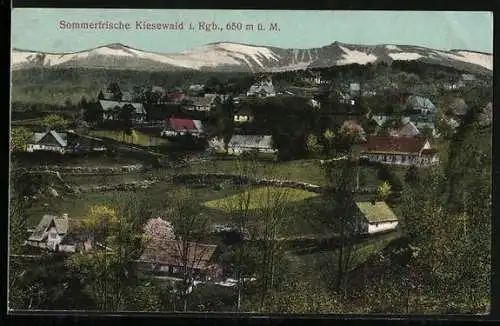 AK Kiesewald i. Rgb., Teilansicht mit Bergen