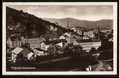 AK Bodenbach, Panorama