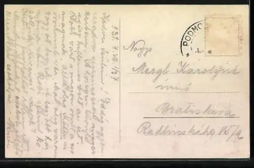 AK Bodenbach, Panorama