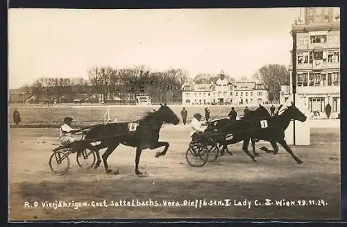 AK Wien, Pferderennen, R. D. Vierjähriges Gest. Sattelbachs