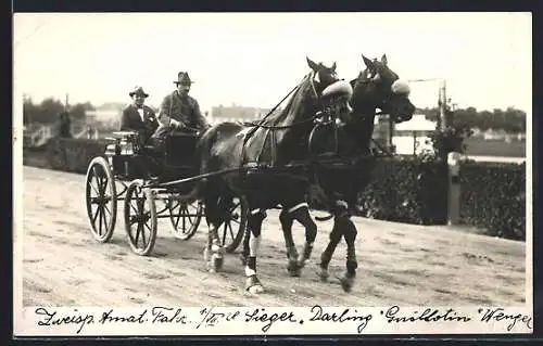 AK Wien, Pferderennen, Zweisp. Amat. Fahr., Sieger Darling Guillotin Wenger