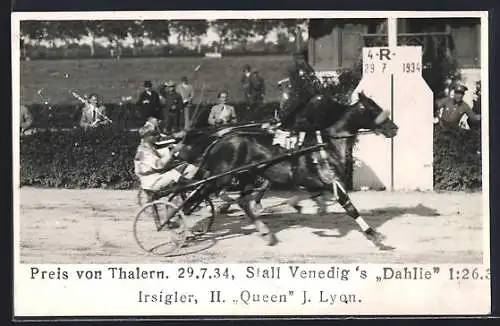 AK Preis von Thalern 1934, Pferderennen