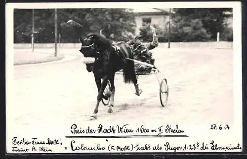 Foto-AK Wien, Preis der Stadt Wien 1954