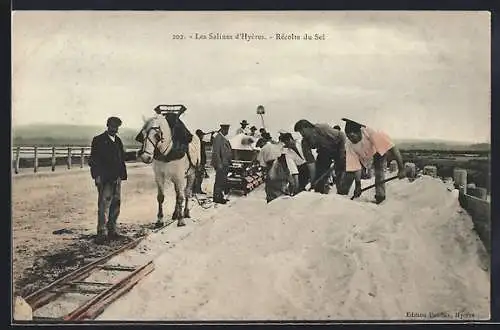 AK Hyères, Les Salines, Recolte du Sel