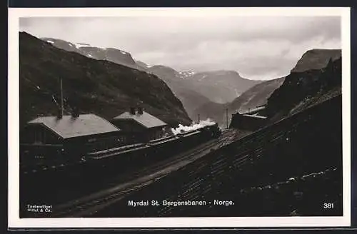 AK Myrdal St., Bergensbanen