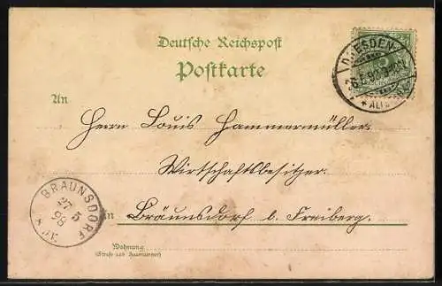 Lithographie Dresden-Blasewitz, Elbpartie mit Loschwitzer Brücke, Totalansicht