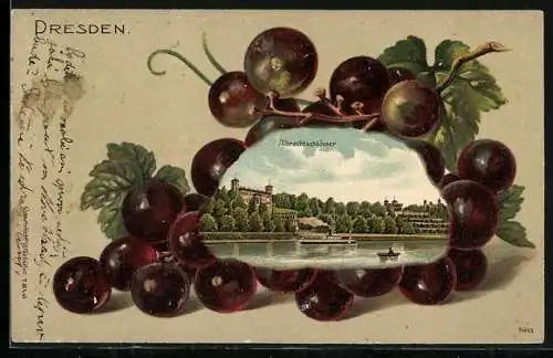 Passepartout-Lithographie Dresden-Loschwitz, Albrechtschlösser in Weintrauben-Passepartout