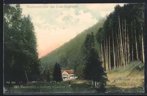 AK Massenmühle im Lauchagrund, Teilansicht mit Waldlandschaft
