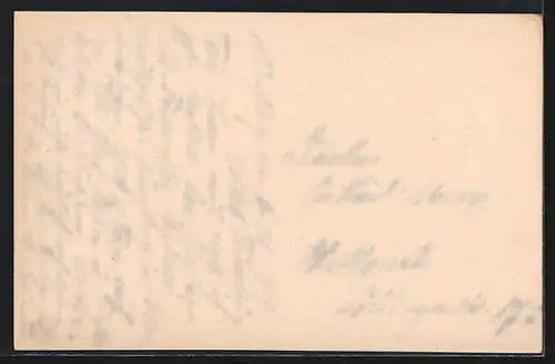 AK Münchberg / Fichtelgebirge, Partie im Stadtpark mit Fontäne