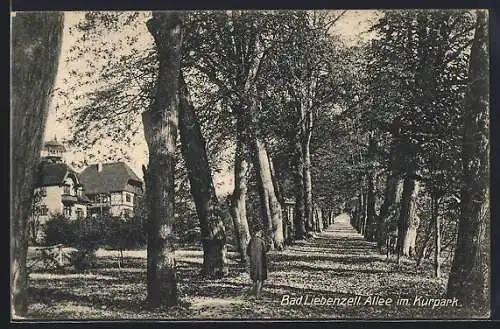 AK Bad Liebenzell, Allee im Kurpark