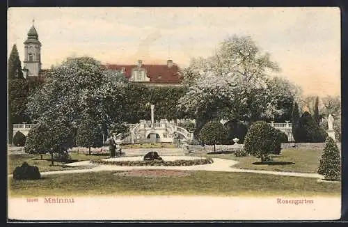 AK Mainau, Partie im Rosengarten