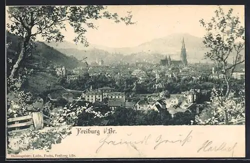 AK Freiburg i. Br., Gesamtansicht