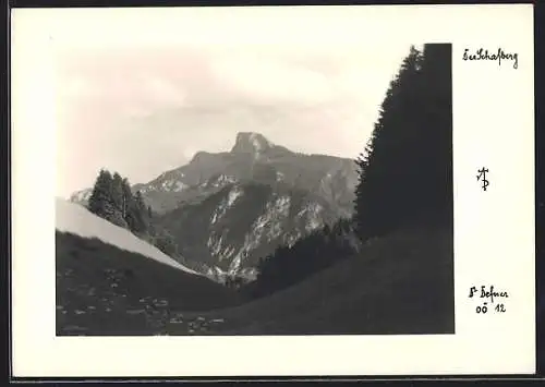 Foto-AK Adalbert Defner: Schafberg, Panorama im Sonnenschein