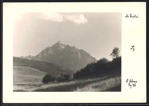 Foto-AK Adalbert Defner: Berglandschaft