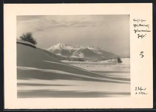 Foto-AK Adalbert Defner: Schneelandschaft, Herzlichen Glückwunsch zum neuen Jahr