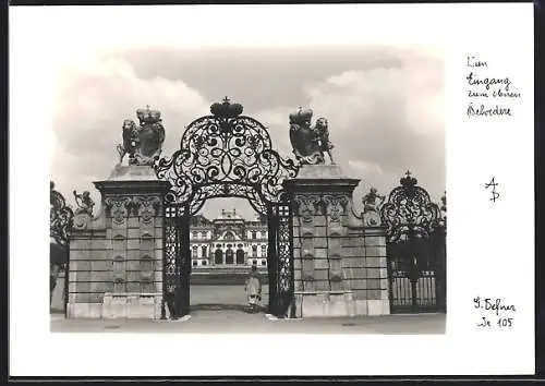Foto-AK Adalbert Defner: Wien, Eingang zum oberen Belvedere