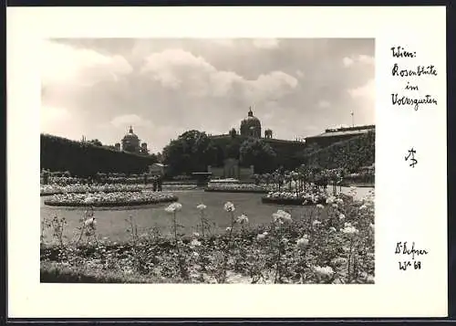 Foto-AK Adalbert Defner: Wien, Rosenblüte im Volksgarten