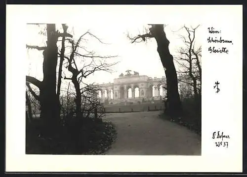 Foto-AK Adalbert Defner: Wien, Schönbrunn, Gloriette