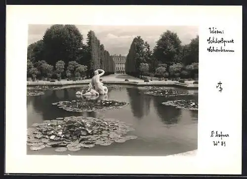Foto-AK Adalbert Defner: Wien, Schlosspark Schönbrunn