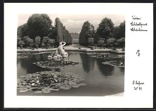 Foto-AK Adalbert Defner: Wien, Schönbrunn, Teich im Schlosspark