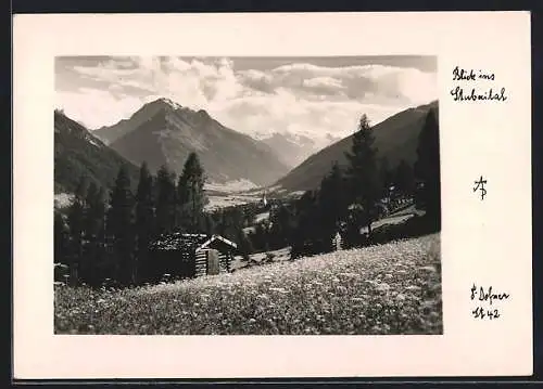 Foto-AK Adalbert Defner: Blick ins Stubai
