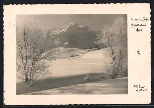 Foto-AK Adalbert Defner: Winterlandschaft mit Bäumen, Neujahrsgruss