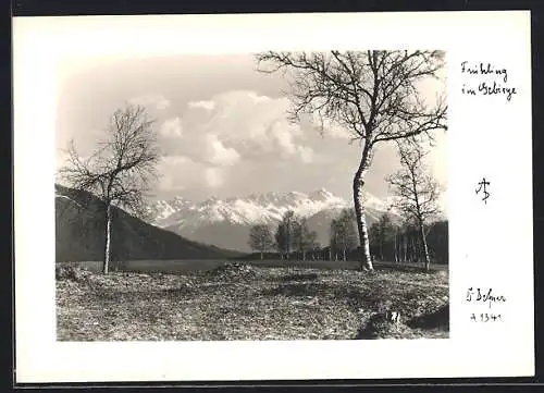 Foto-AK Adalbert Defner: Frühling im Gebirge