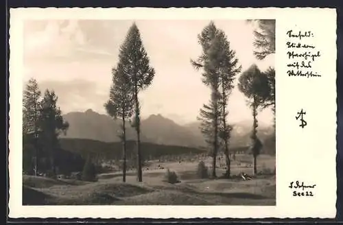Foto-AK Adalbert Defner: Seefeld, Pfarrhügel mit dem Wetterstein