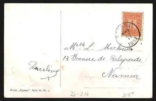 Künstler-AK Pfau, Truthahn, Erpel und Hahn, Geflügel